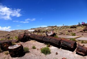arizona-landscape-640x480-490020.jpeg