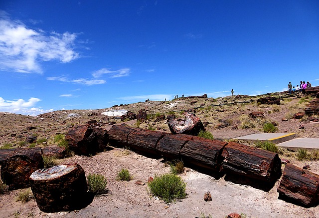 arizona-landscape-640x480-490020.jpeg