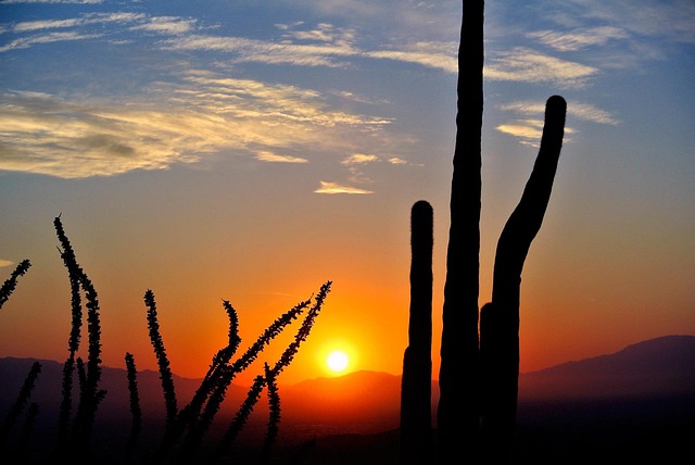 arizona landscape