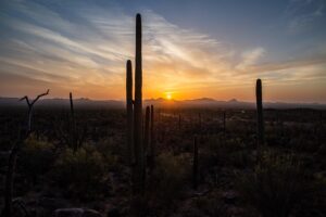 arizona-landscape-640x480-64468099.jpeg