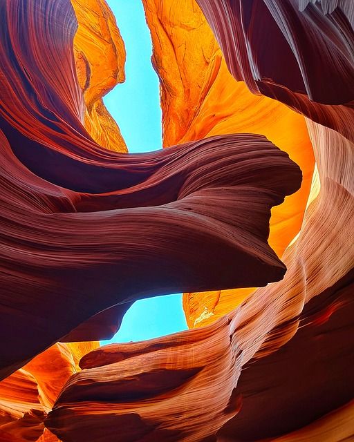 arizona landscape