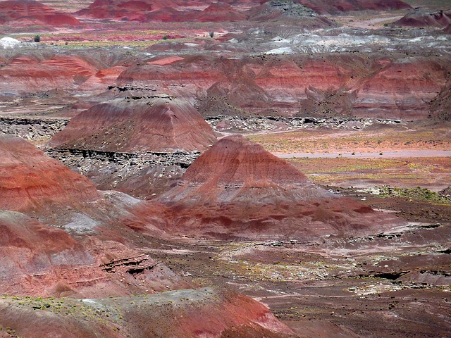 arizona landscape