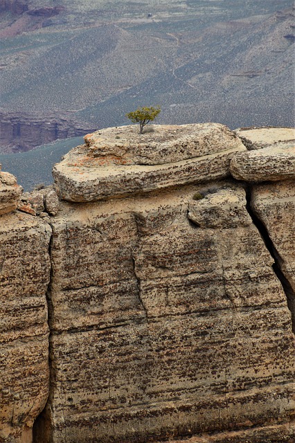 arizona landscape