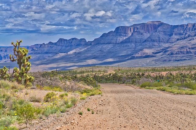 arizona landscape