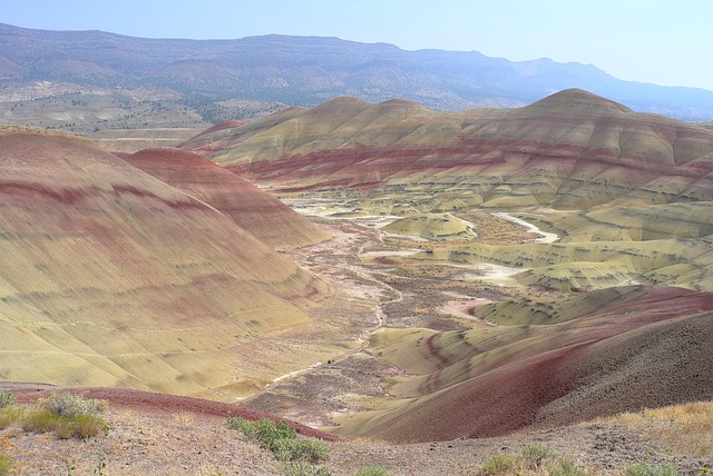 arizona landscape