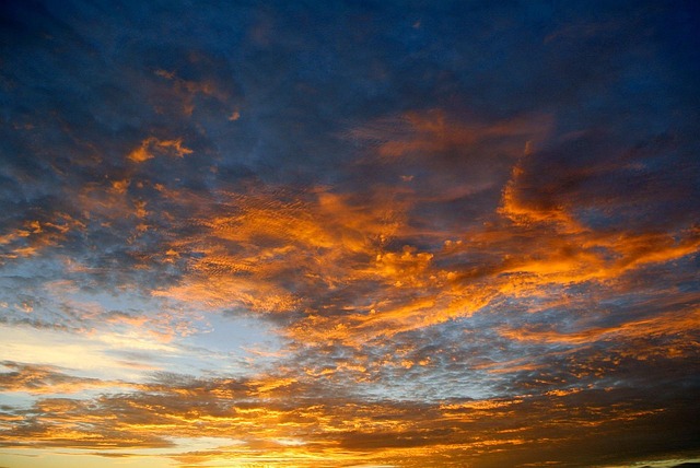 arizona landscape