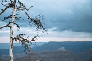 Analytics Drive Fort Mohave SEO Strategies for Optimal Visibility