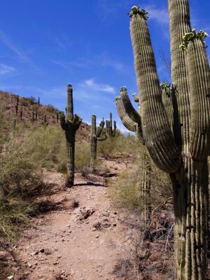 arizona-landscape-640x480-92041753.jpeg