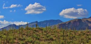 Organize Wickenburg Outdoor Adventure Content for Peak SEO Efficiency