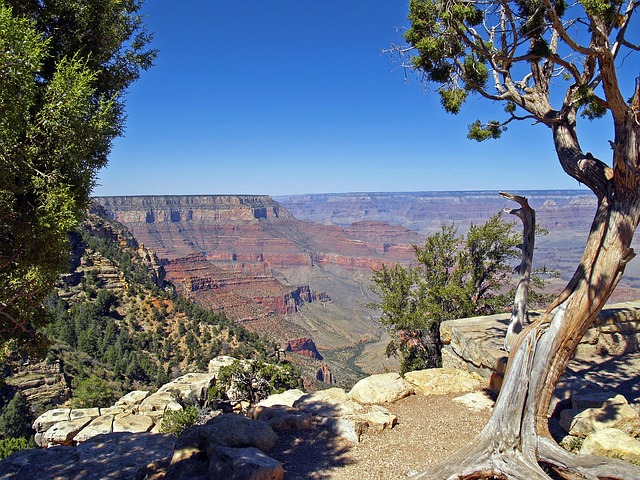 arizona landscape