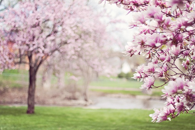 beauty-640x480-27564617.jpeg