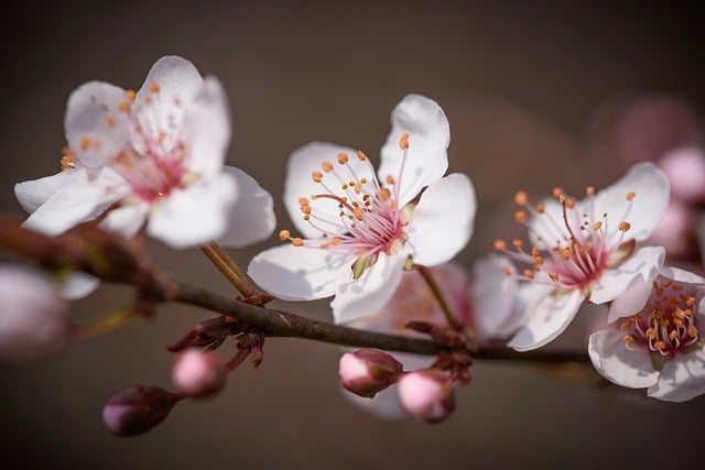 beauty-640x480-36042400.jpeg