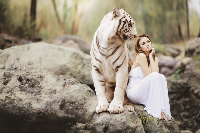beauty-640x480-41264600.jpeg