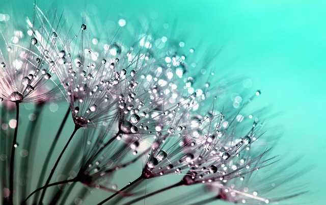 beauty-640x480-52164151.jpeg