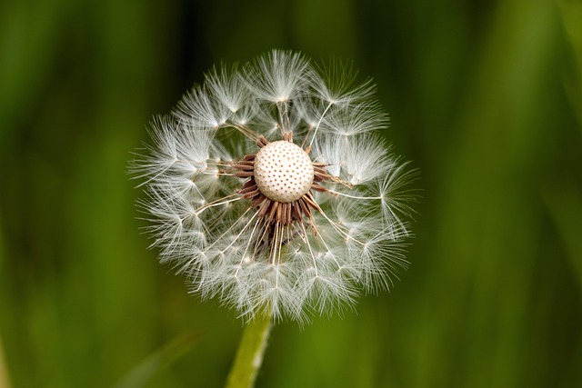 beauty-640x480-67995534.jpeg