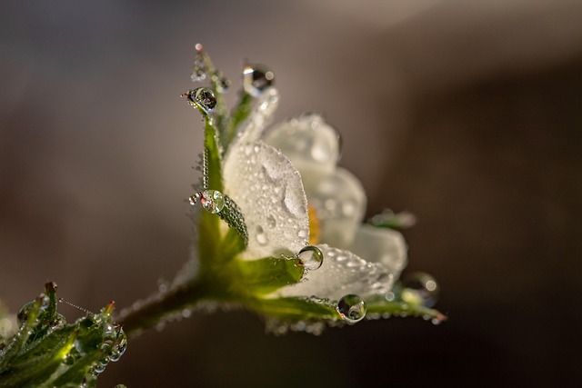 beauty-640x480-80774300.jpeg