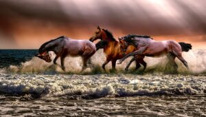 beauty-640x480-92016763.jpeg