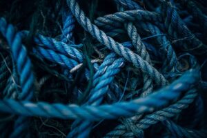 blue-640x480-21052040.jpeg