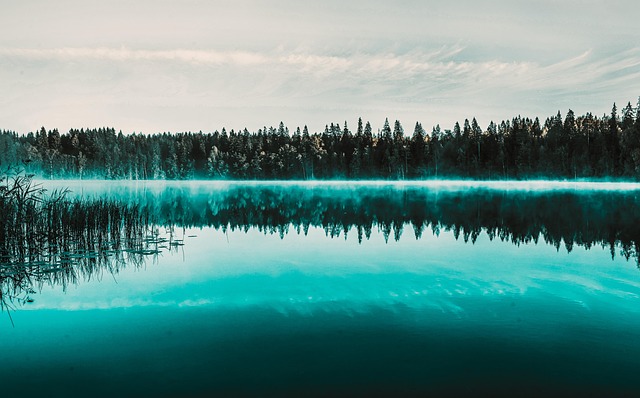 blue-640x480-43562455.jpeg