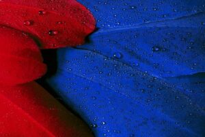 Optimizing Arizona City Business Growth: Geotargeted Landing Pages for Success