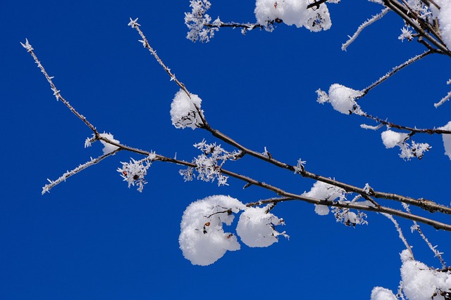blue-640x480-76501907.jpeg