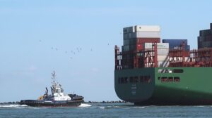container-ship-640x480-63916453.jpeg