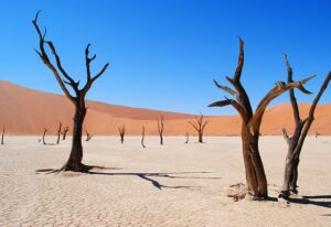 desert-640x480-10535253.jpeg