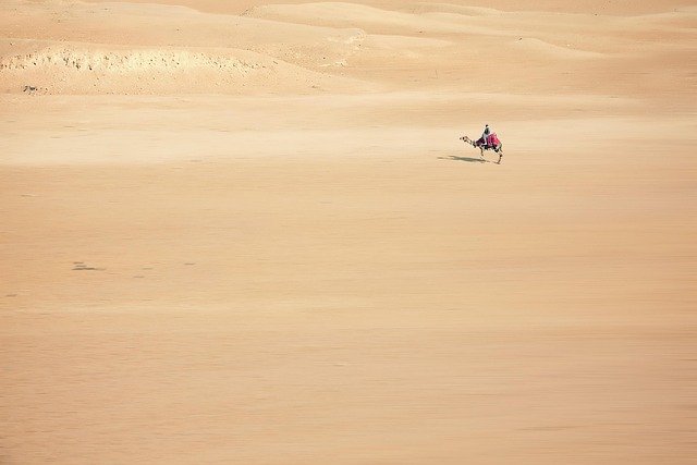 desert