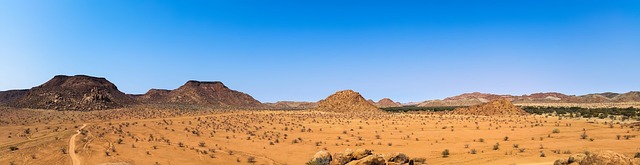 desert