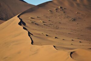 Gold Canyon SEO: Launch Content Clusters for Niche Dominance