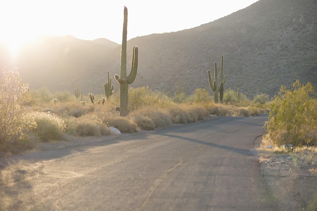 desert