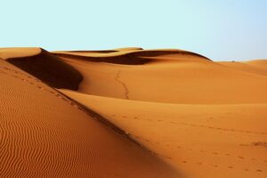 Global SEO Dominance: Optimizing Google Knowledge Panels for Brand Authority