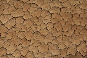 desert-640x480-40462890.jpeg