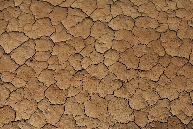 desert-640x480-40462890.jpeg