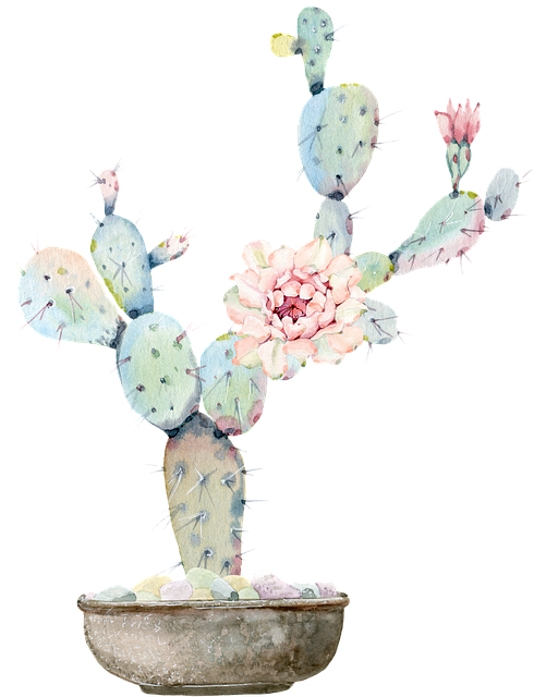 desert