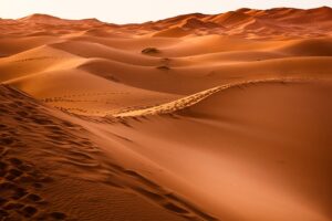 desert-640x480-69344800.jpeg
