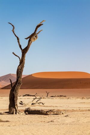 desert-640x480-74870792.jpeg