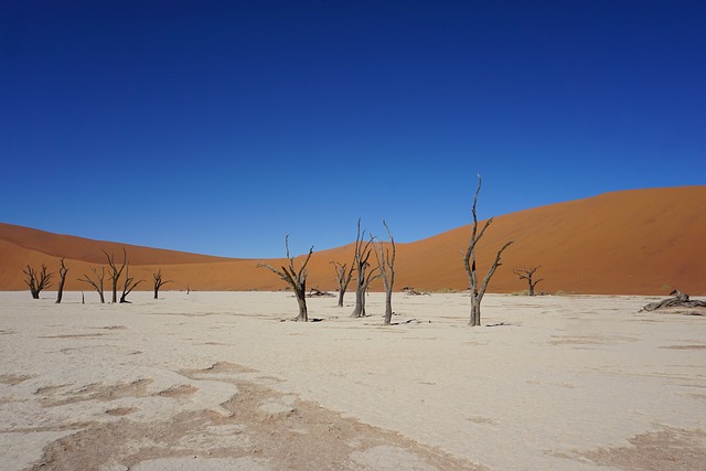 desert