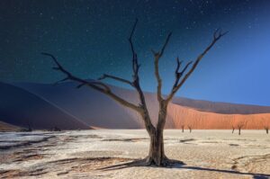 desert-640x480-90855757.jpeg