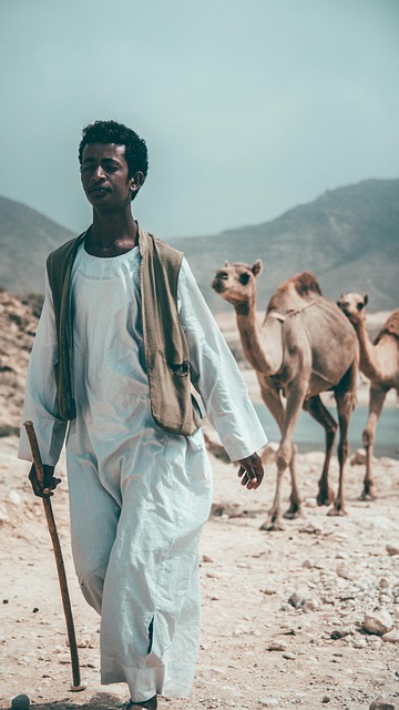 desert landscape