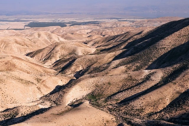 desert landscape