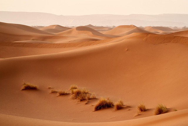 desert landscape