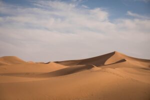 Guadalupe SEO: Expert Strategies for Digital Dominance