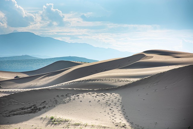 desert landscape