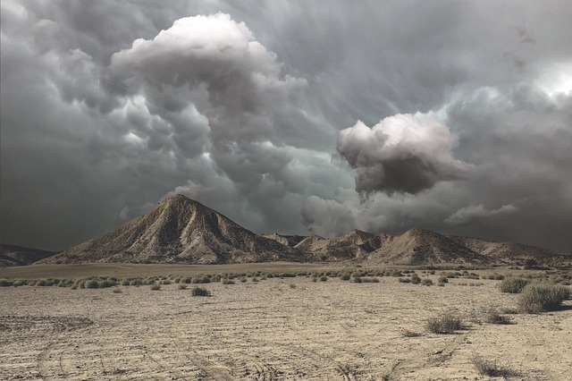 desert landscape
