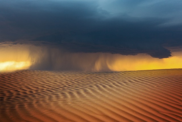 desert landscape