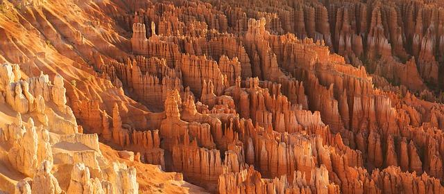 desert landscape