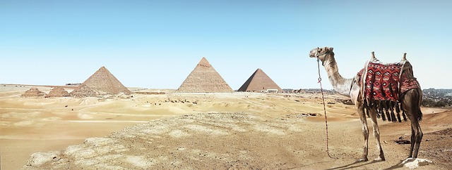 desert landscape