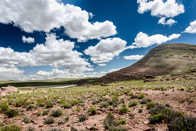 desert landscape