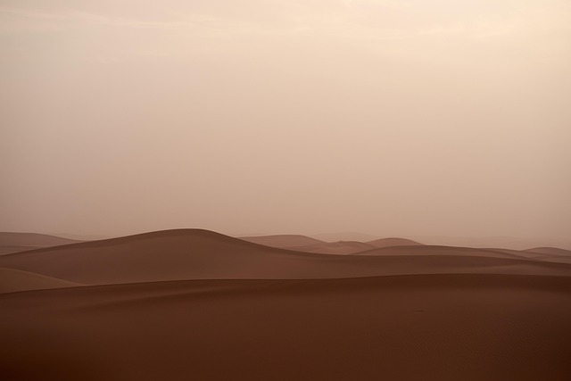 desert landscape